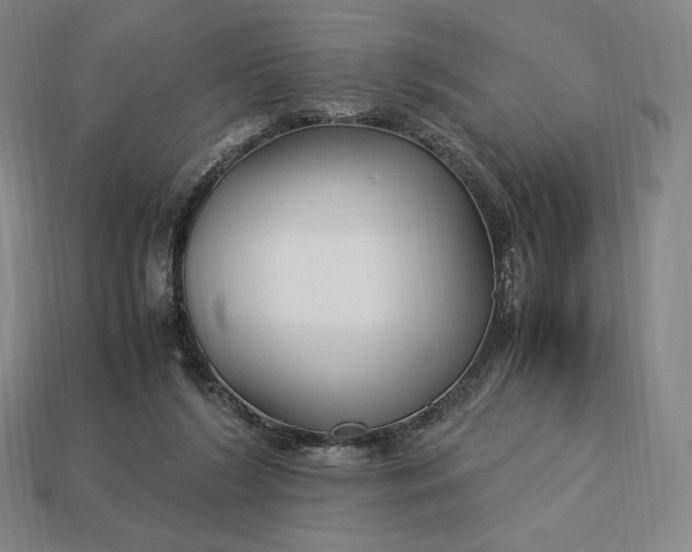 X0000113150212200909181757