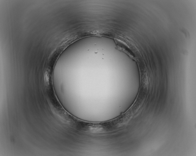 X0000113150214200909181757