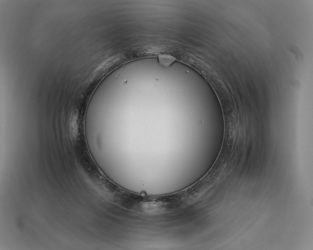 X0000113150216200909181757