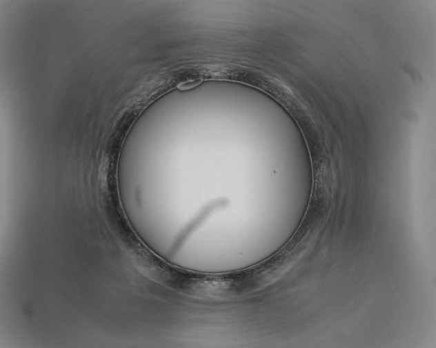 X0000113150217200909181757