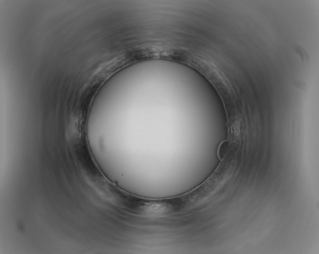 X0000113150218200909181757