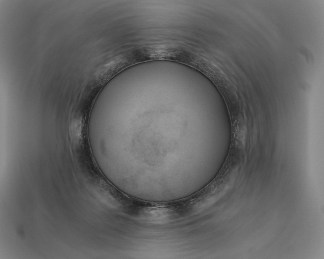 X0000113150219200909181757