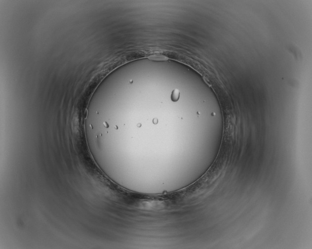 X0000113150220200909181757