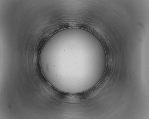 X0000113150221200909181757