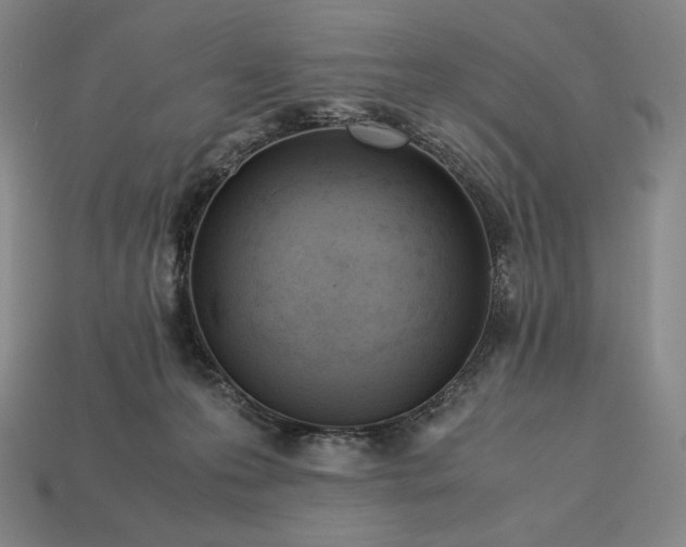 X0000113150223200909181757