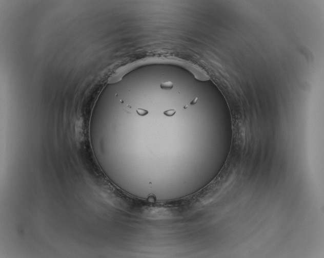 X0000113150224200909181757