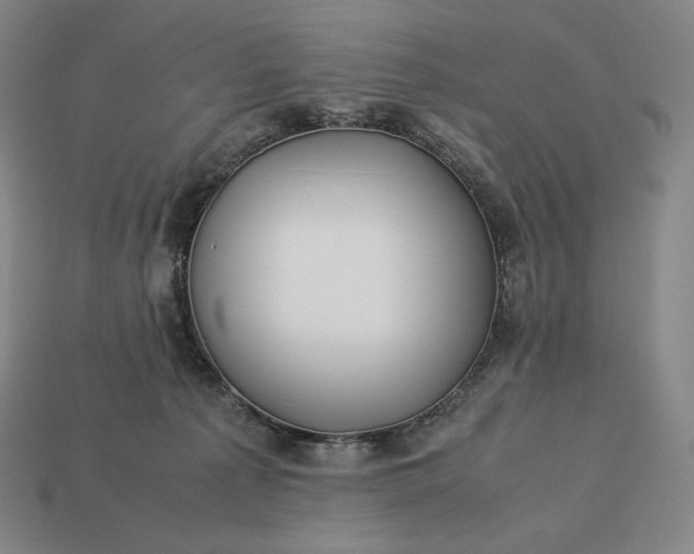 X0000113150225200909181757