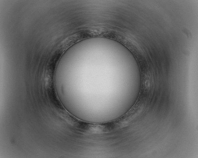 X0000113150226200909181757