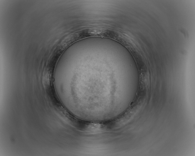 X0000113150227200909181757