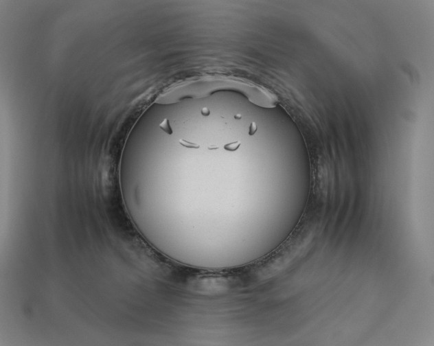 X0000113150228200909181757