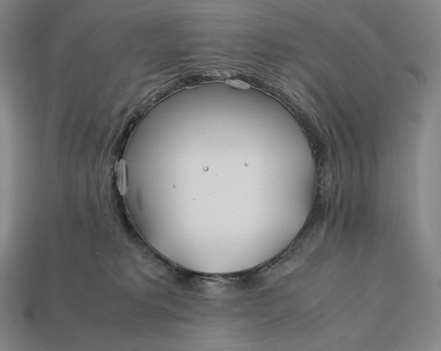 X0000113150229200909181757