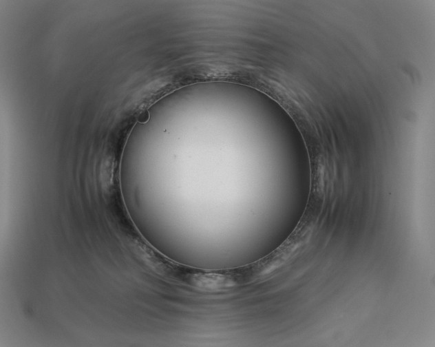 X0000113150230200909181757