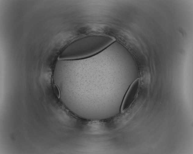 X0000113150231200909181757