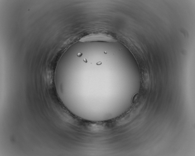 X0000113150232200909181757