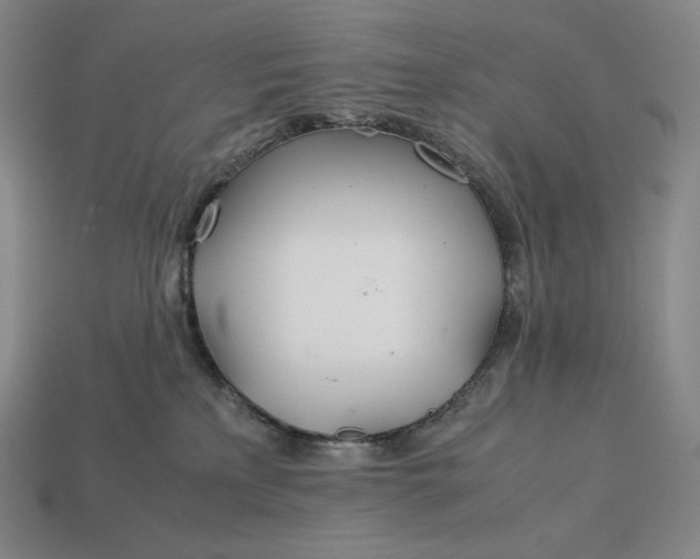 X0000113150233200909181757