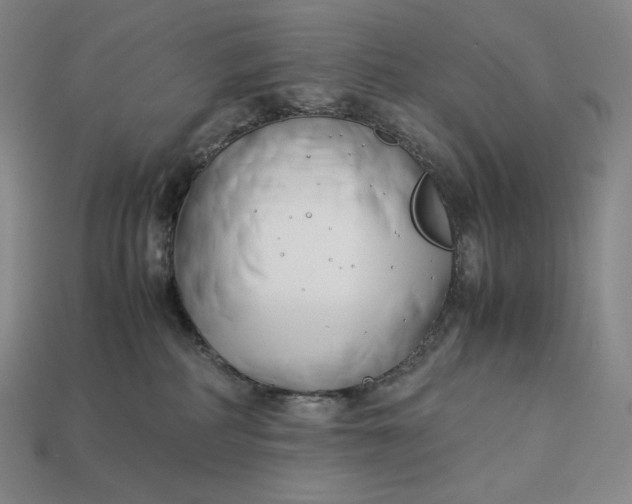 X0000113150234200909181757