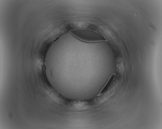 X0000113150235200909181757