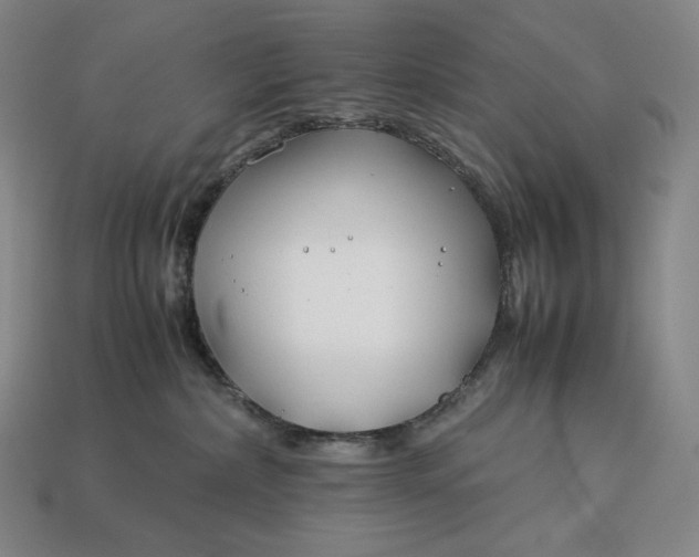 X0000113150236200909181757