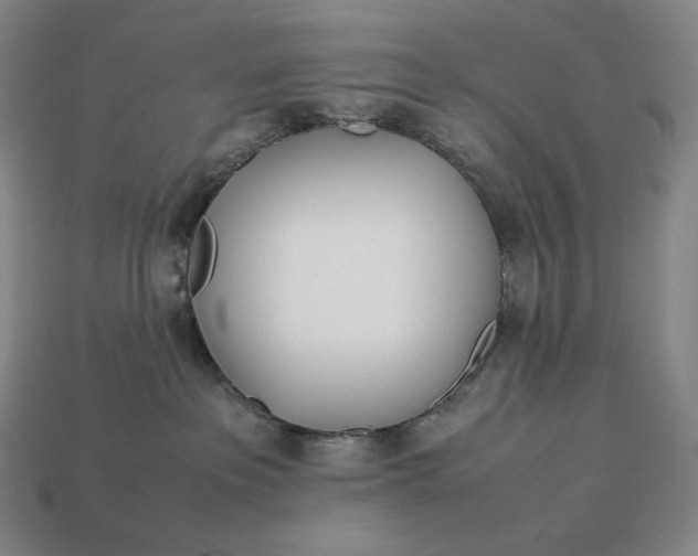 X0000113150237200909181757