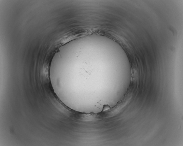 X0000113150238200909181757