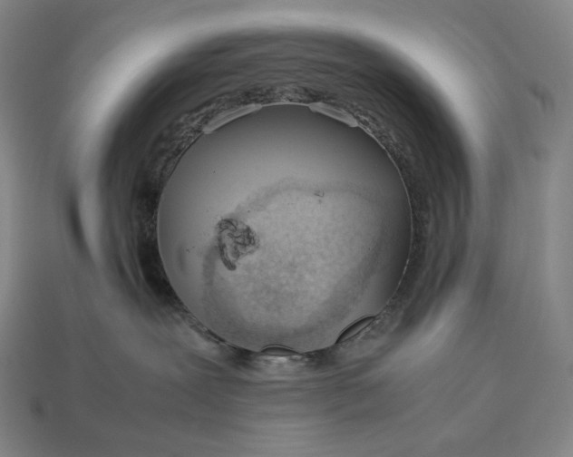 X0000113150239200909181757