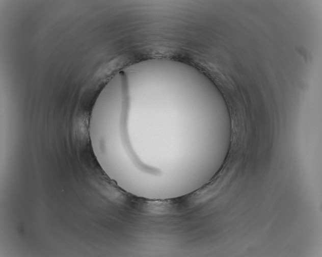 X0000113150240200909181757