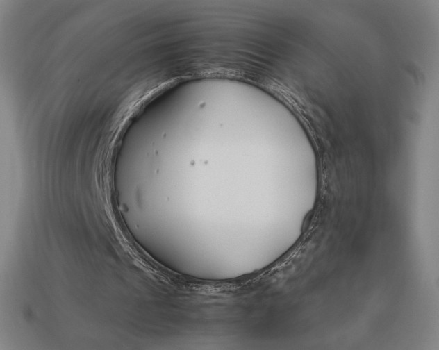 X0000113150241200909181756