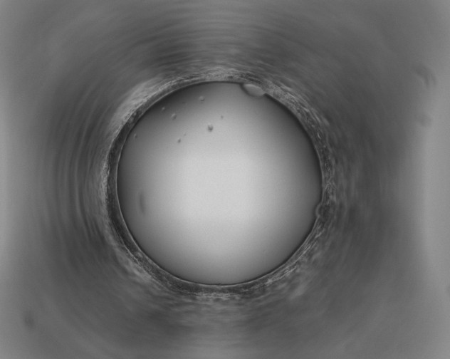 X0000113150242200909181756