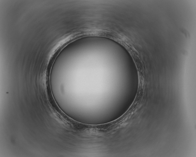 X0000113150244200909181756