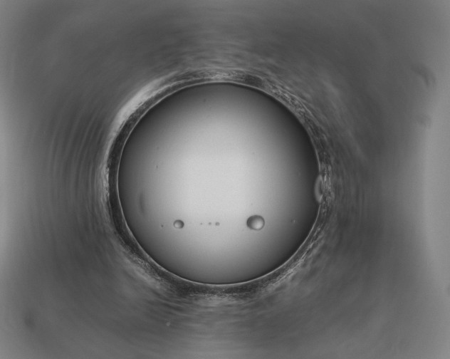 X0000113150246200909181756