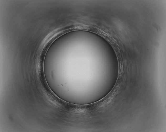 X0000113150247200909181756