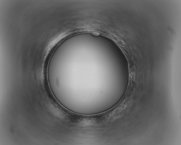 X0000113150248200909181756