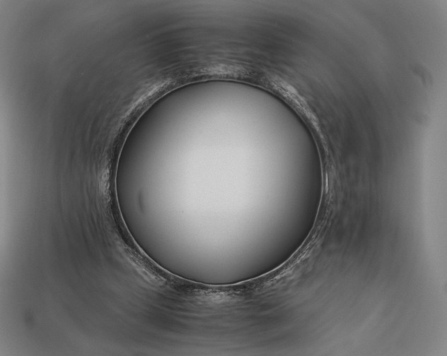 X0000113150249200909181756