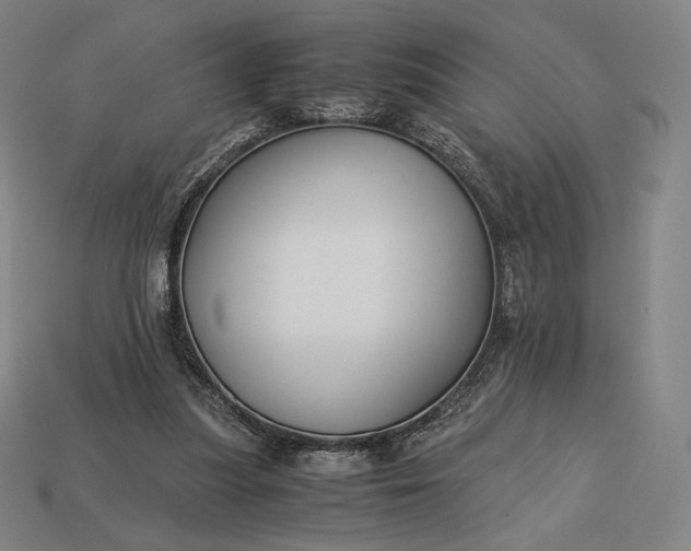 X0000113150251200909181756