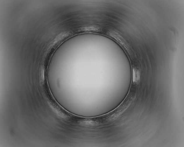 X0000113150253200909181756