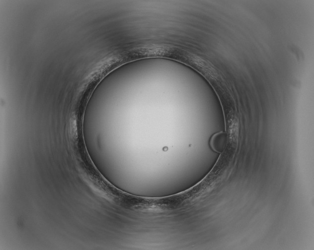 X0000113150254200909181756