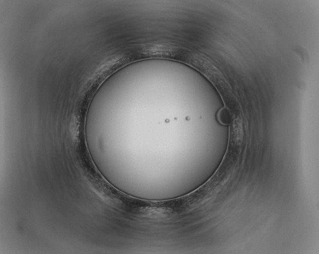 X0000113150255200909181756