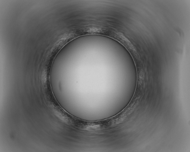 X0000113150257200909181756