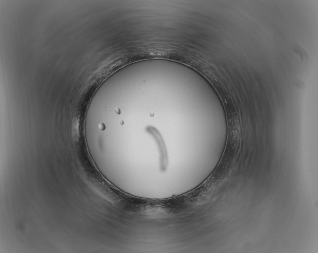 X0000113150262200909181756