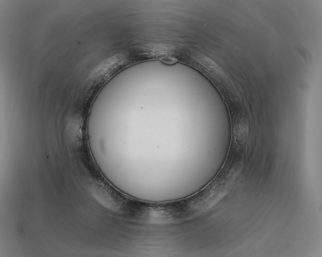 X0000113150264200909181756