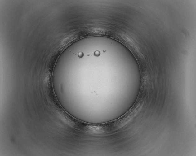 X0000113150265200909181756