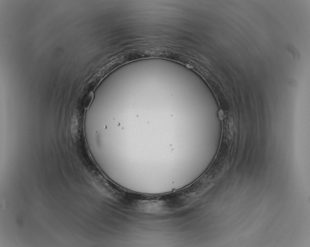 X0000113150266200909181756