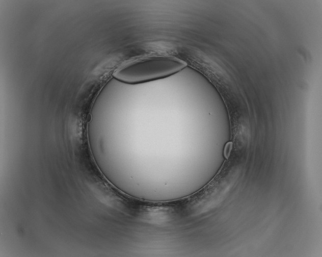 X0000113150268200909181756