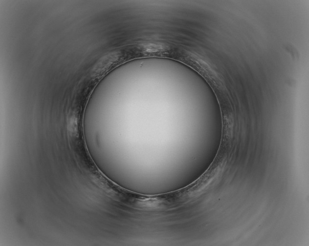 X0000113150269200909181756