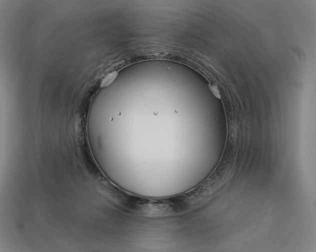 X0000113150270200909181756