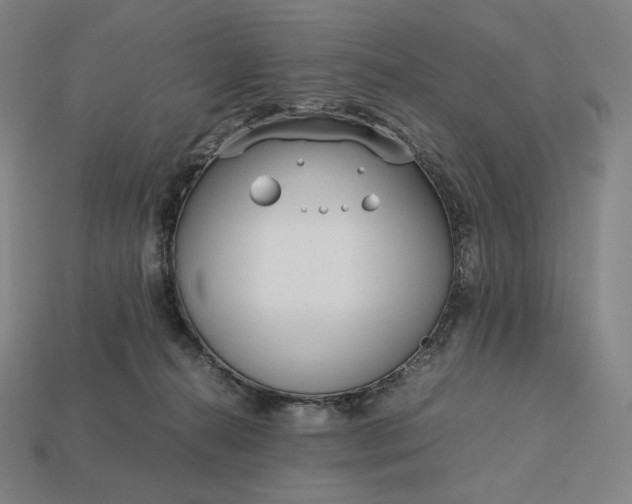 X0000113150272200909181756