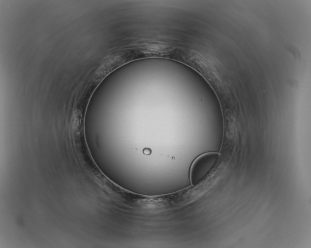 X0000113150273200909181756