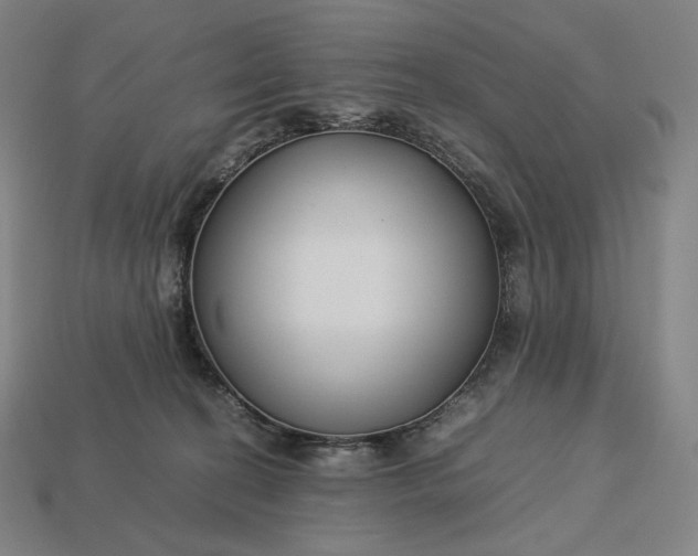 X0000113150274200909181756