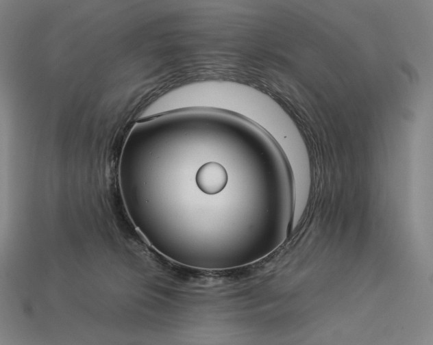 X0000113150276200909181756