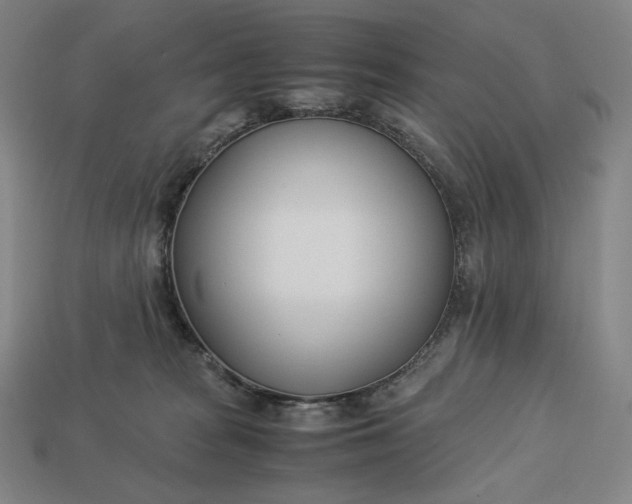 X0000113150277200909181756